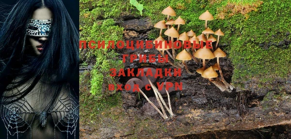 PSILOCYBIN Медногорск