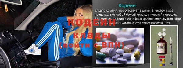 молекула духа Алексин