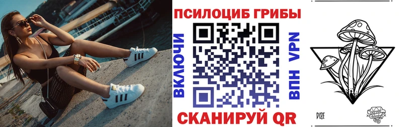 купить   Пугачёв  Галлюциногенные грибы MAGIC MUSHROOMS 